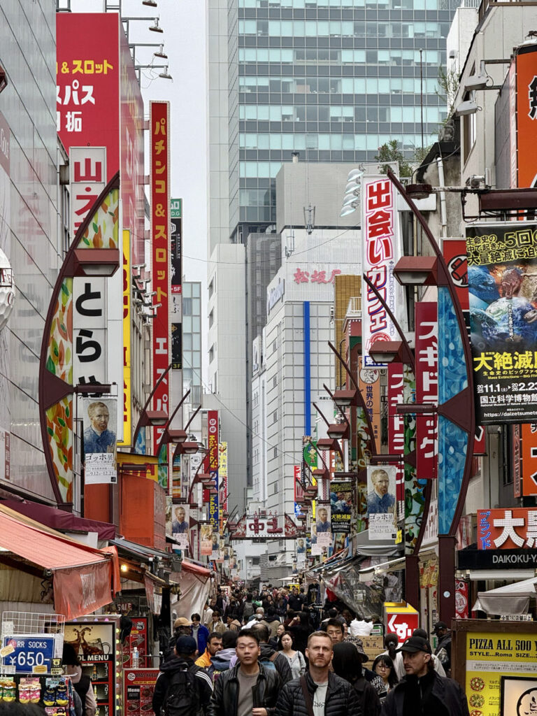 ✈️ 2.5 Wochen Japan: Von der Megacity Tokio bis nach Fukuoka (2025) Ameyoko Market 768x1024
