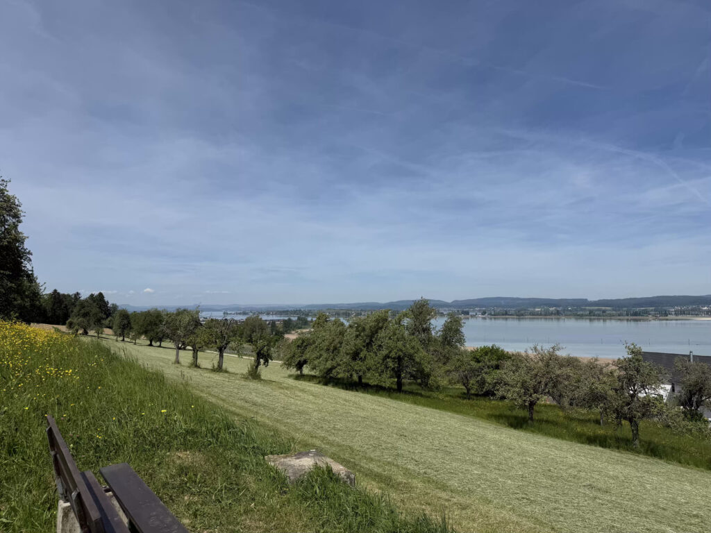 🥾 Wanderung Kreuzlingen – Steckborn: Bodensee, Arenenberg & Badeplatz Anstieg Triboltingen 1024x768