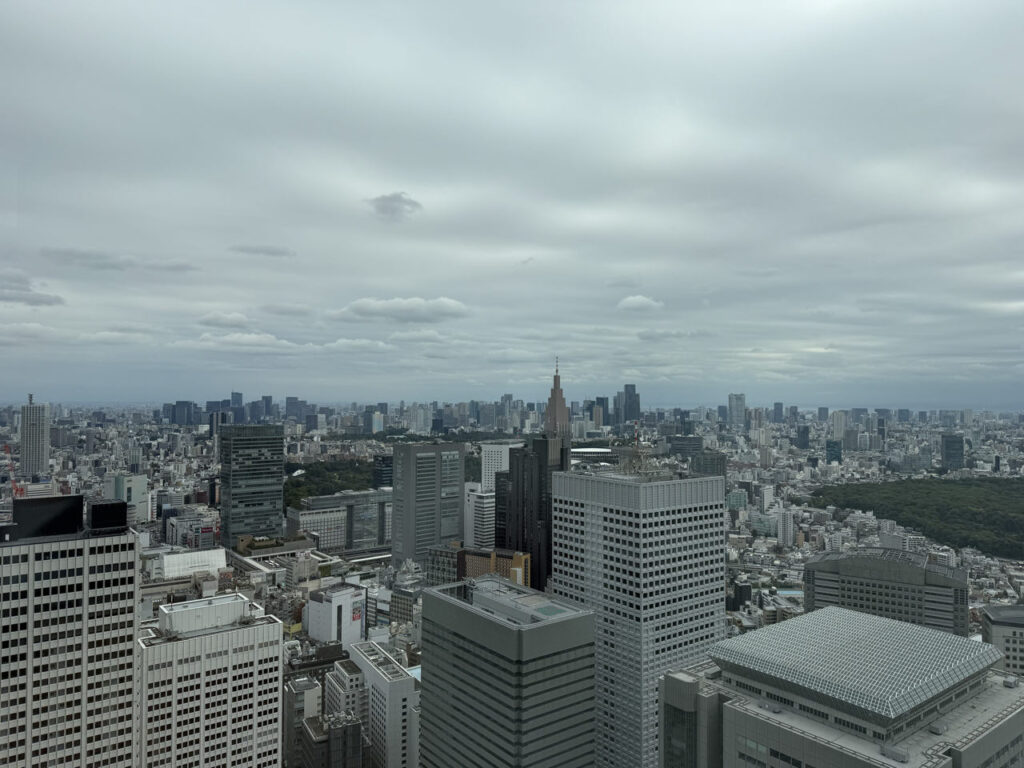 ✈️ 2.5 Wochen Japan: Von der Megacity Tokio bis nach Fukuoka (2025) Aussicht TMGB 1024x768