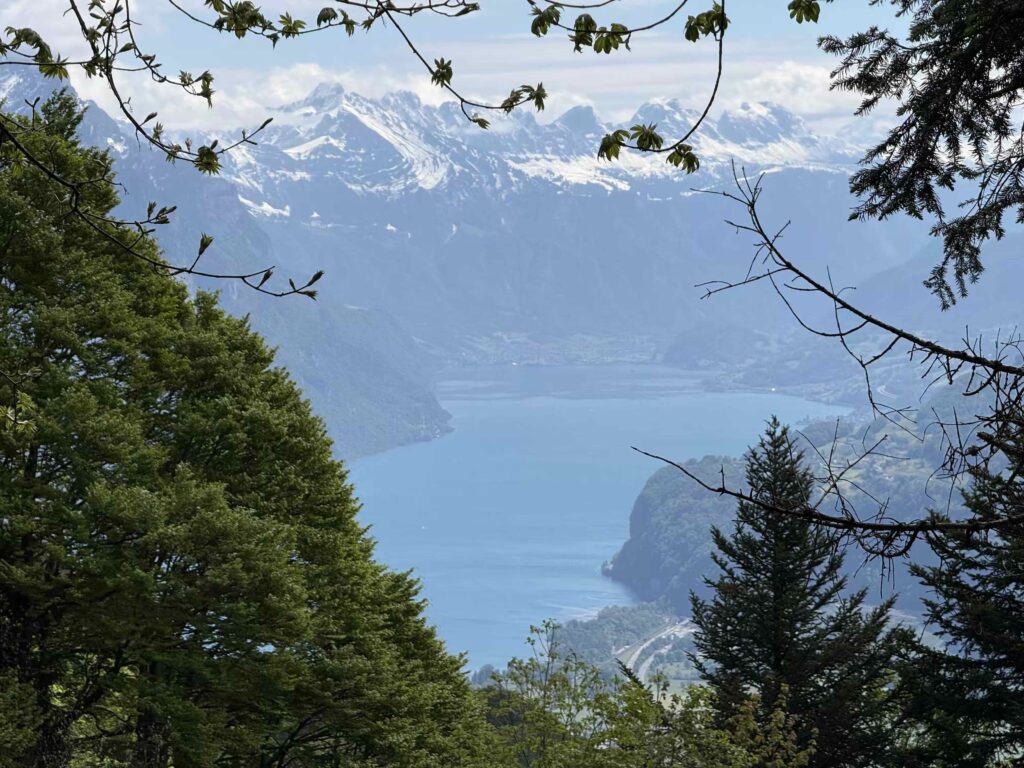 🥾 Hirzli: Gipfelglück zwischen Walensee und Zürichsee IMG 0443 3 1024x768