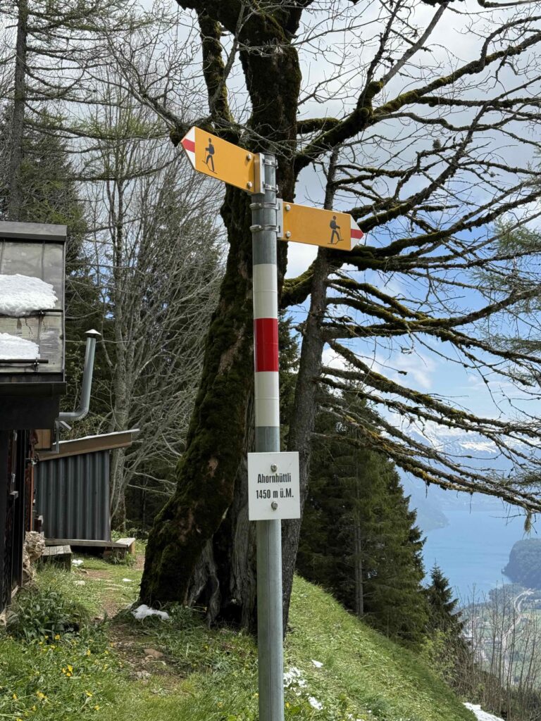 🥾 Hirzli: Gipfelglück zwischen Walensee und Zürichsee IMG 0450 3 768x1024