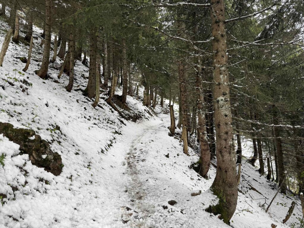 🥾 Hirzli: Gipfelglück zwischen Walensee und Zürichsee IMG 0454 3 1024x768