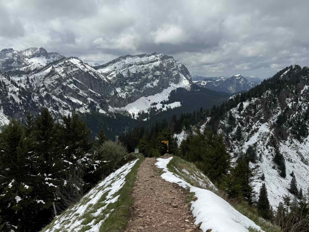 🥾 Hirzli: Gipfelglück zwischen Walensee und Zürichsee IMG 0479 1024x768