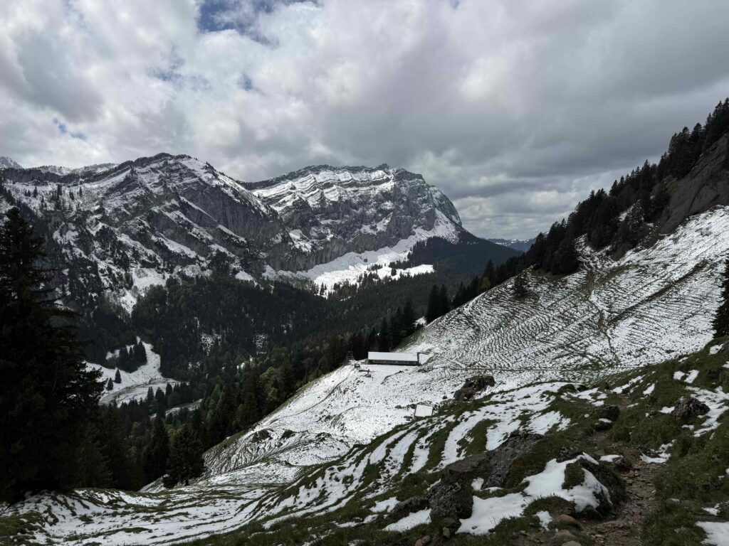 🥾 Hirzli: Gipfelglück zwischen Walensee und Zürichsee IMG 0484 1 1024x768