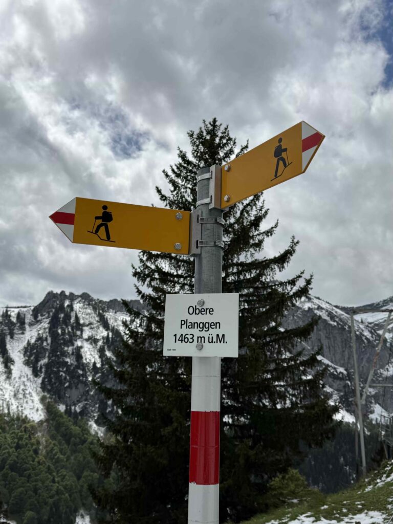 🥾 Hirzli: Gipfelglück zwischen Walensee und Zürichsee IMG 0486 1 768x1024