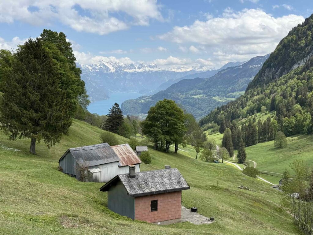 🥾 Hirzli: Gipfelglück zwischen Walensee und Zürichsee IMG 0492 1024x768