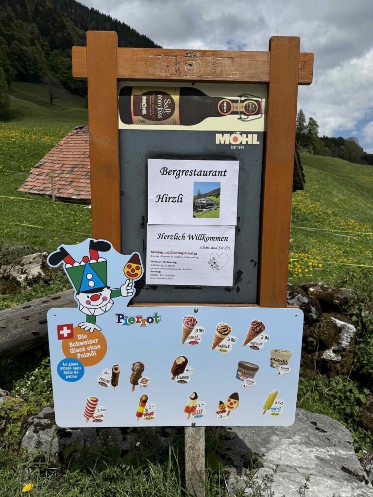 🥾 Hirzli: Gipfelglück zwischen Walensee und Zürichsee IMG 0495 1 768x1024