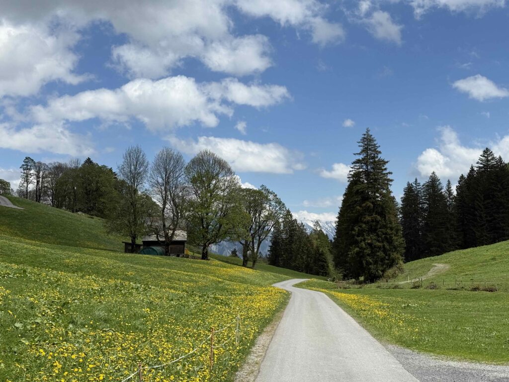 🥾 Hirzli: Gipfelglück zwischen Walensee und Zürichsee IMG 0497 1 1024x768