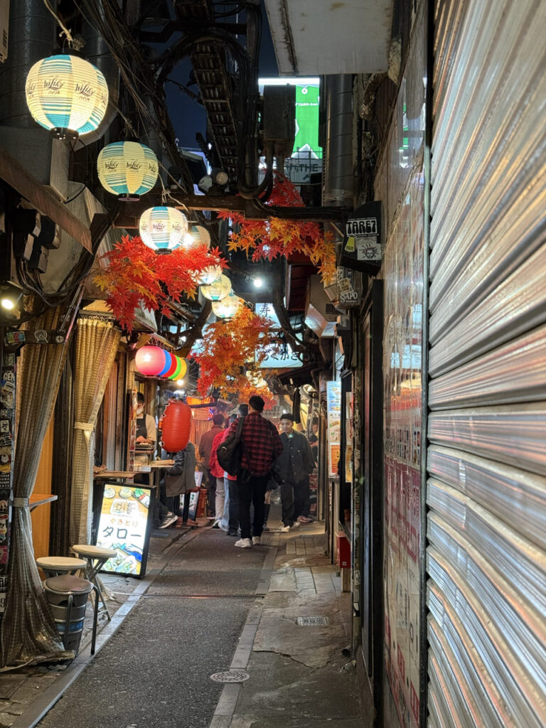 ✈️ 2.5 Wochen Japan: Von der Megacity Tokio bis nach Fukuoka (2025) Memory Lane 768x1024